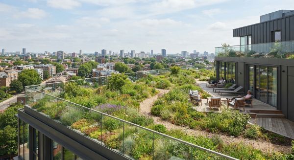 Optimisez votre confort : 5 choix pour une toiture terrasse végétalisée